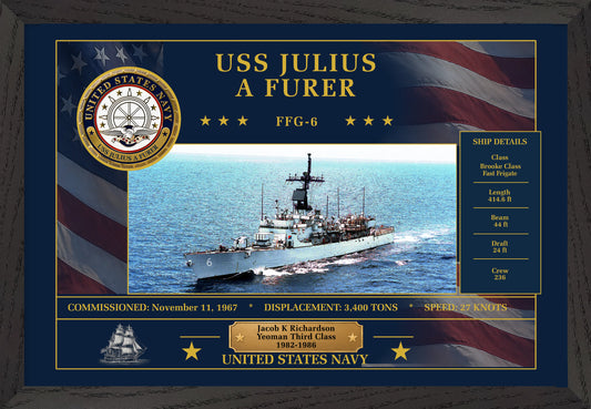 USS Julius A Furer FFG-6 Framed Patriotic Art