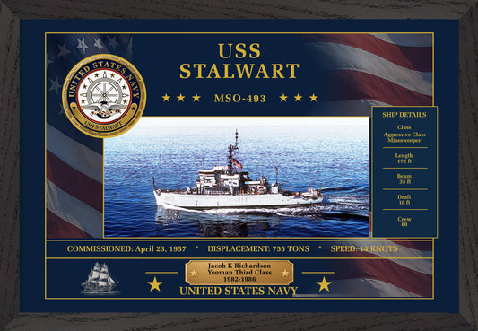 USS Stalwart MSO-493 Framed Patriotic Art