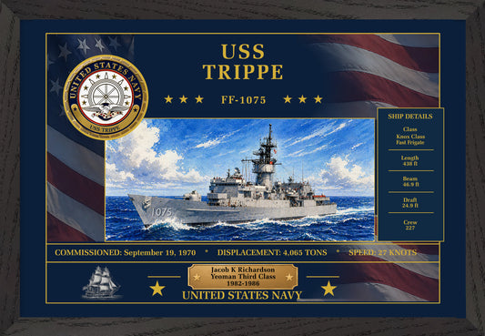USS Trippe FF-1075 Framed Patriotic Art