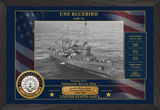 USS Bluebird ASR-19 Framed Patriotic Photo