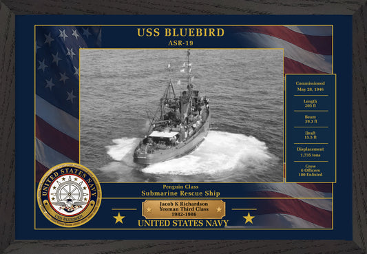 USS Bluebird ASR-19 Framed Patriotic Photo