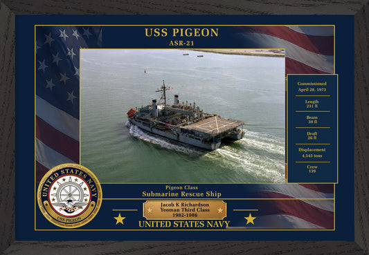 USS Pigeon ASR-21 Framed Patriotic Photo
