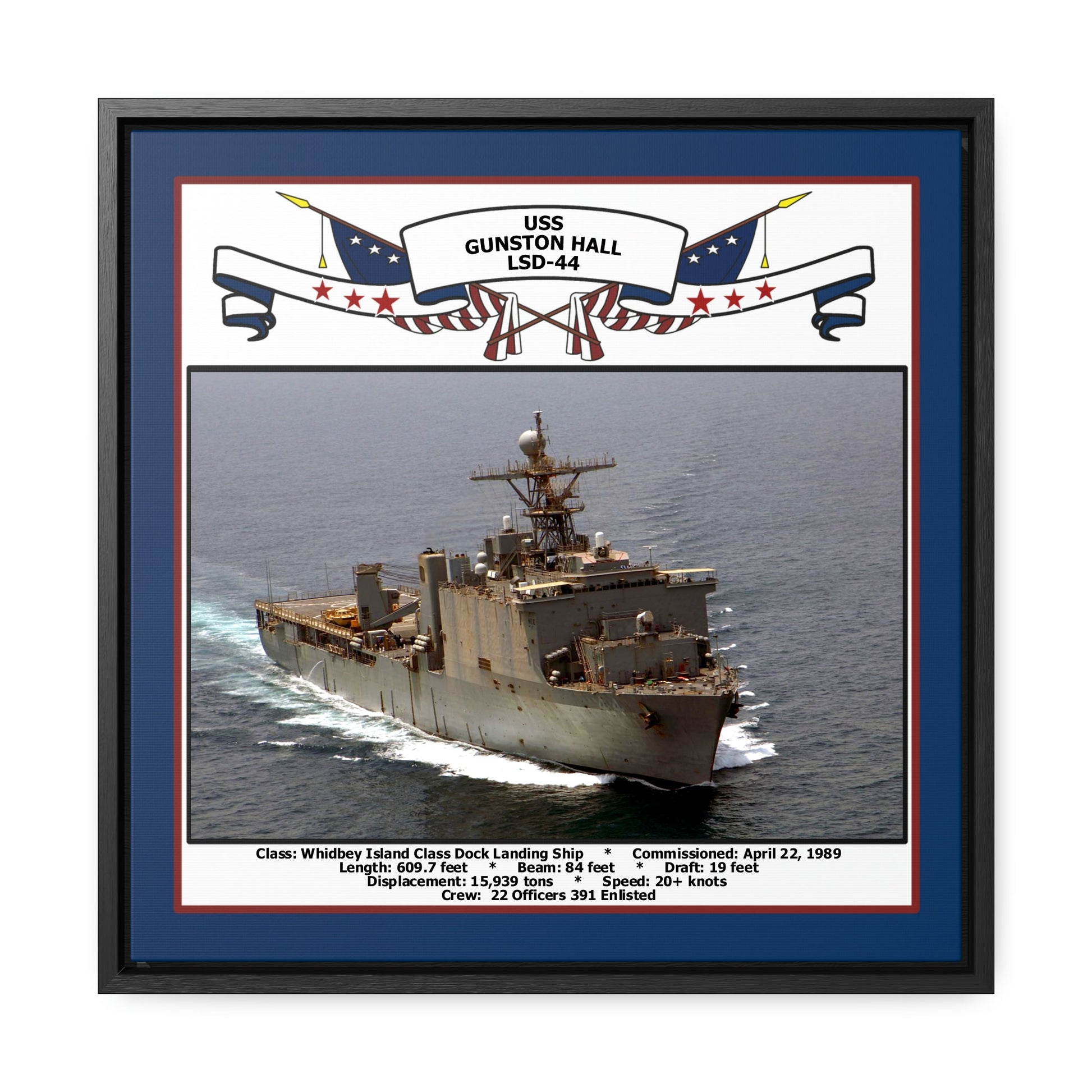 USS Gunston Hall LSD-44 Navy Floating Frame Photo Front View