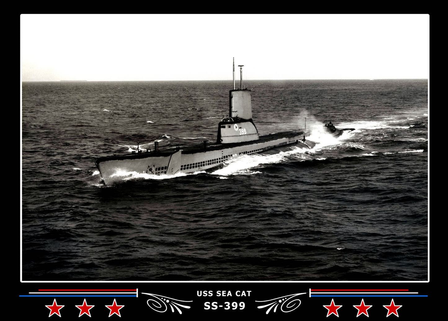 USS Sea Cat SS-399 Canvas Photo Print