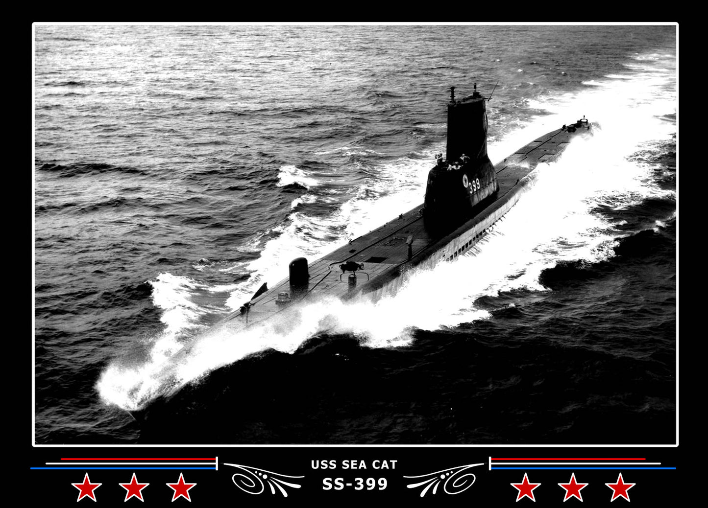USS Sea Cat SS-399 Canvas Photo Print