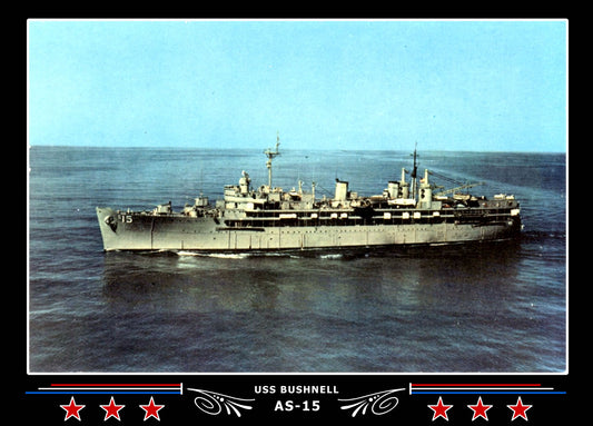 USS Bushnell AS-15 Canvas Photo Print