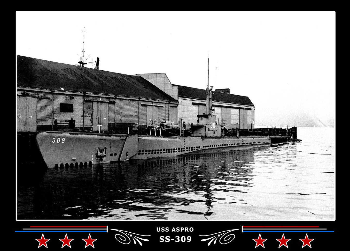 USS Aspro SS-309 Canvas Photo Print