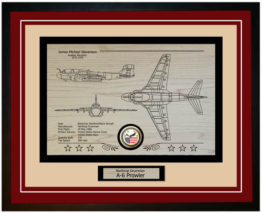 A-6 Prowler Framed Aircraft Display