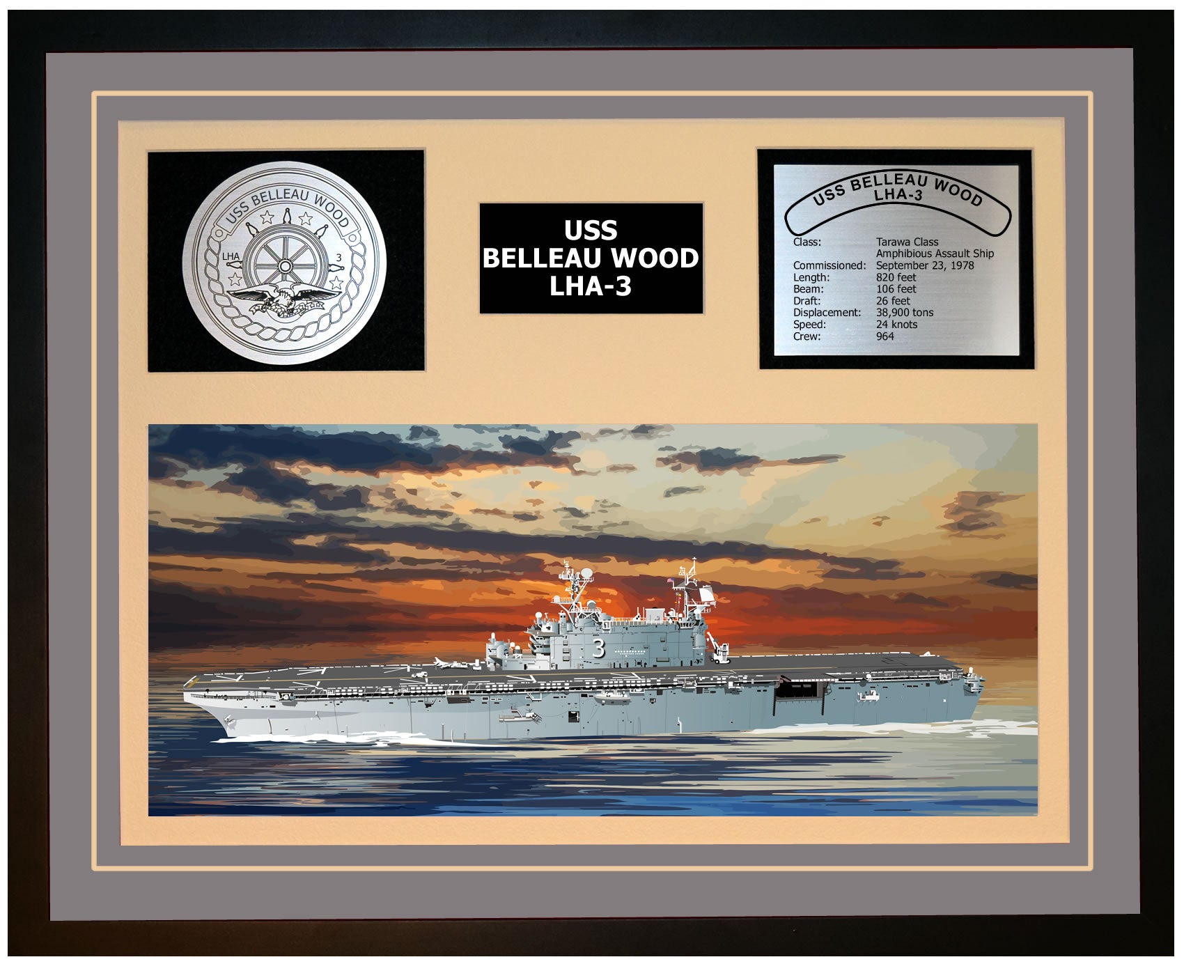 USS BELLEAU WOOD LHA-3 Framed Navy Ship Display Grey
