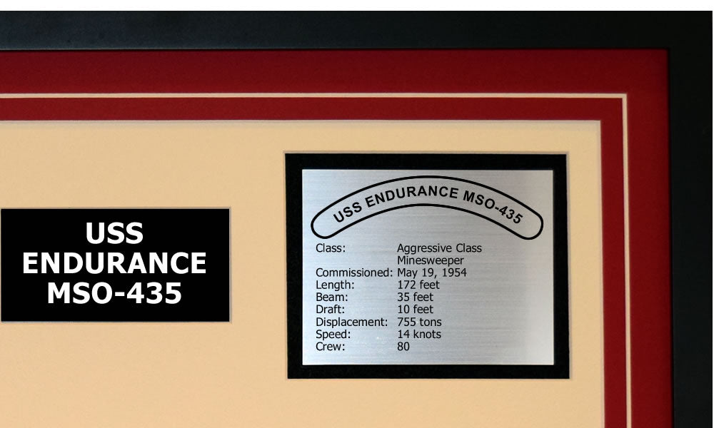 USS ENDURANCE MSO-435 Detailed Image B