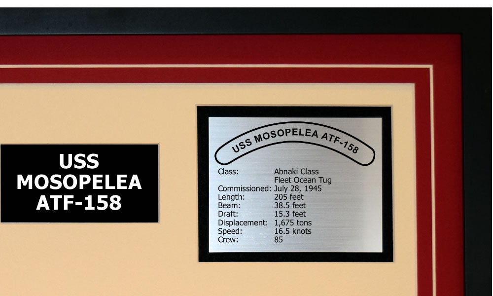 USS MOSOPELEA ATF-158 Detailed Image B