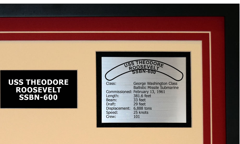 USS THEODORE ROOSEVELT SSBN-600 Detailed Image B