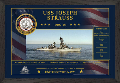USS Joseph STRADDG-16 Framed Patriotic Art