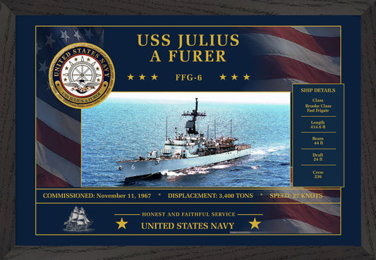 USS Julius A Furer FFG-6 Framed Patriotic Art