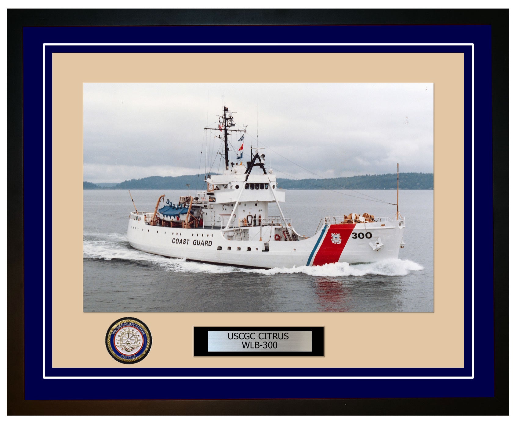 USCGC CITRUS WLB 300 Framed Coast Guard Ship Photo Blue 149WLB300