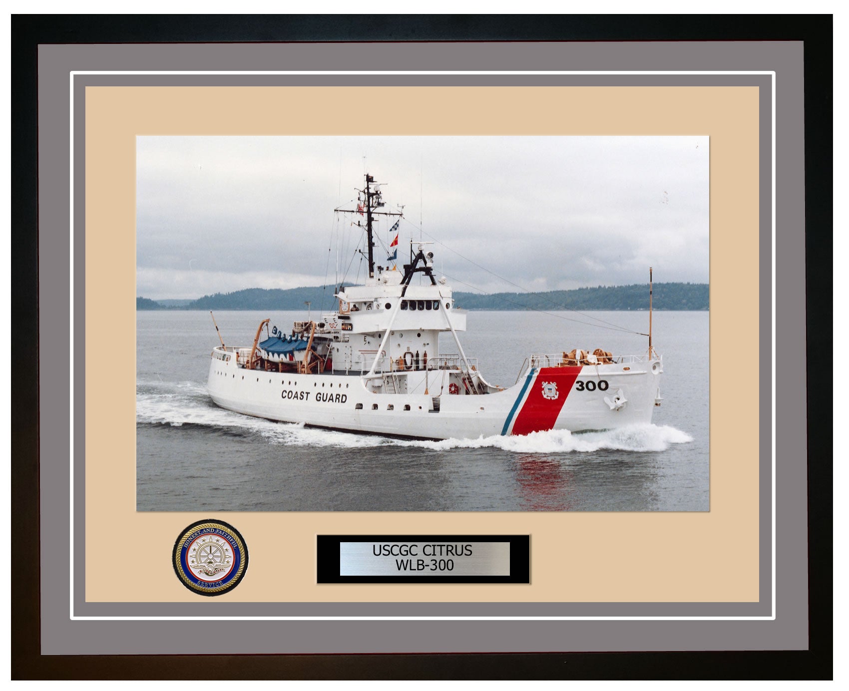 USCGC CITRUS WLB 300 Framed Coast Guard Ship Photo Grey 149WLB300