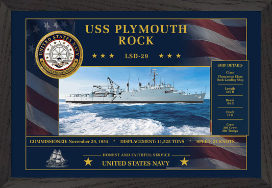 USS Plymouth Rock LSD-29 Framed Patriotic Art