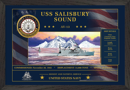 USS Salisbury Sound AV-13 Framed Patriotic Art
