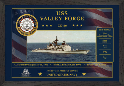 USS Valley Forge CG-50 Framed Patriotic Art