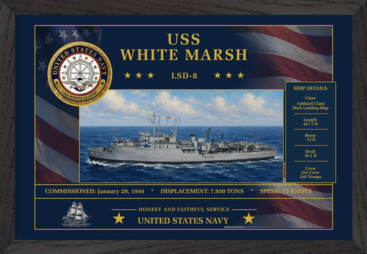 USS White Marsh LSD-8 Framed Patriotic Art