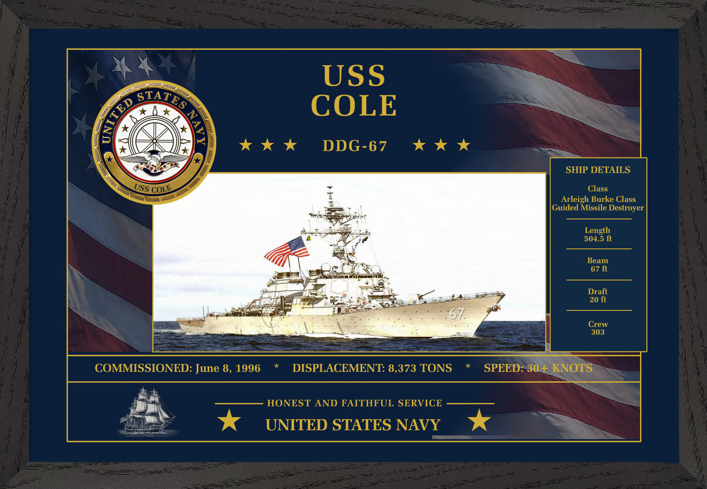 USS Cole DDG-67 Framed Patriotic Art