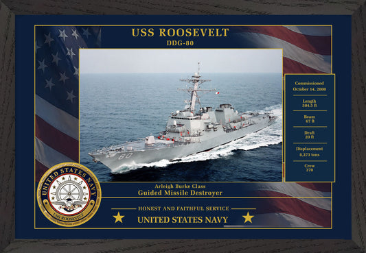 USS Roosevelt DDG-80 Framed Patriotic Photo