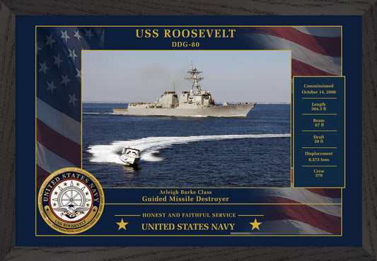 USS Roosevelt DDG-80 Framed Patriotic Photo