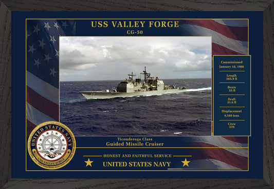 USS Valley Forge CG-50 Framed Patriotic Photo