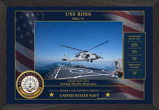 USS Ross DDG-71 Framed Patriotic Photo