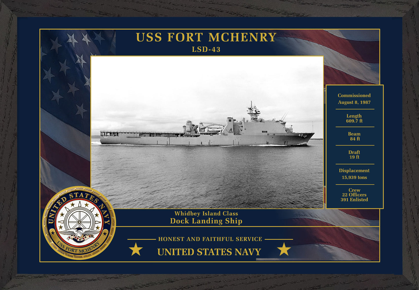 USS Fort Mchenry LSD-43 Framed Patriotic Photo