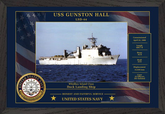 USS Gunston Hall LSD-44 Framed Patriotic Photo