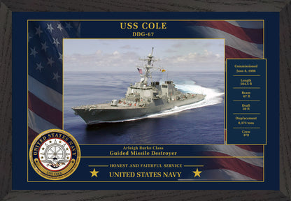 USS Cole DDG-67 Framed Patriotic Photo