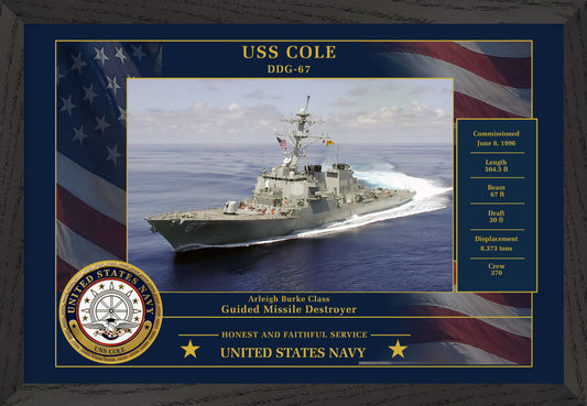 USS Cole DDG-67 Framed Patriotic Photo
