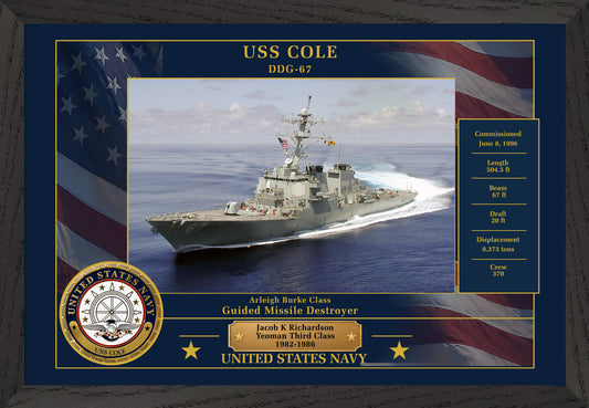 USS Cole DDG-67 Framed Patriotic Photo
