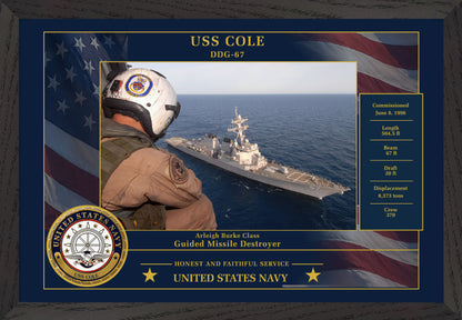 USS Cole DDG-67 Framed Patriotic Photo