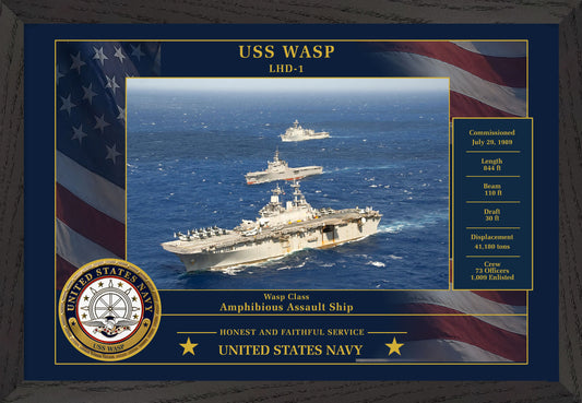 USS Wasp LHD-1 Framed Patriotic Photo