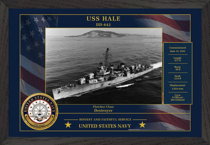 USS Hale DD-642 Framed Patriotic Photo