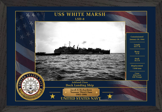USS White Marsh LSD-8 Framed Patriotic Photo