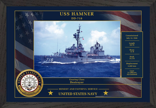 USS Hamner DD-718 Framed Patriotic Photo