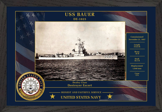 USS Bauer DE-1025 Framed Patriotic Photo