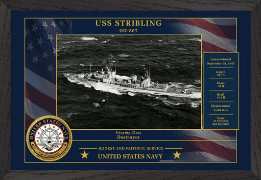 USS Stribling DD-867 Framed Patriotic Photo