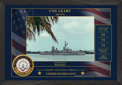 USS Leary DD-879 Framed Patriotic Photo