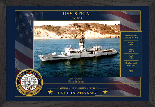USS Stein FF-1065 Framed Patriotic Photo