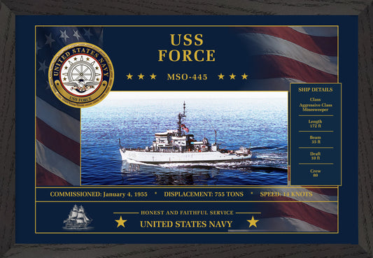USS Force MSO-445 Framed Patriotic Art