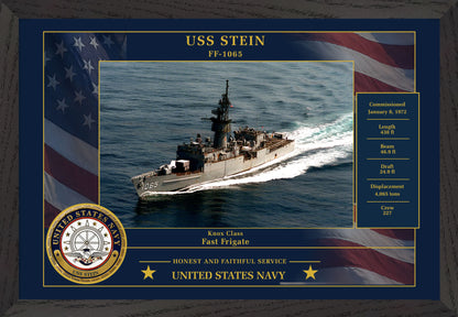 USS Stein FF-1065 Framed Patriotic Photo