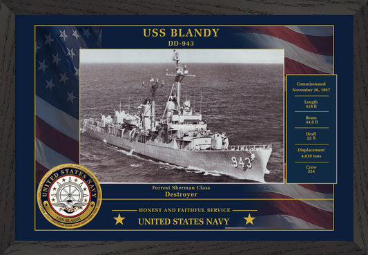 USS Blandy DD-943 Framed Patriotic Photo
