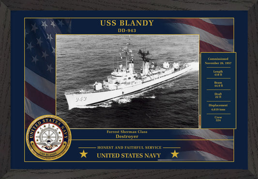 USS Blandy DD-943 Framed Patriotic Photo