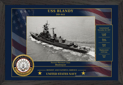 USS Blandy DD-943 Framed Patriotic Photo