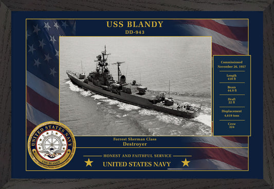USS Blandy DD-943 Framed Patriotic Photo