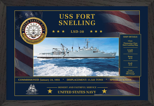 USS Fort Snelling LSD-30 Framed Patriotic Art
